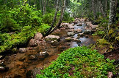 BANCO DE IMÁGENES Y FOTOGRAFÍAS: 14 Fotos de Paisajes Naturales ...