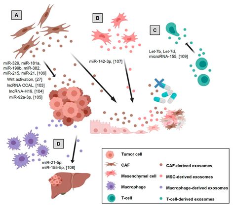 Ijms Free Full Text A Snapshot Of The Tumor Microenvironment In