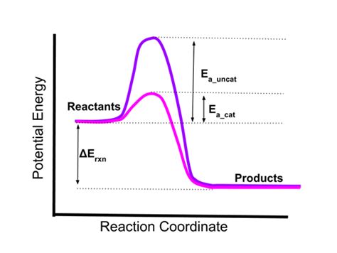 Savvy Chemist Transition Metals Homogenous Catalysts