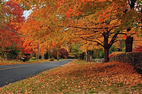 Autumn In Connecticut Photograph By Ben Prepelka Fine Art America