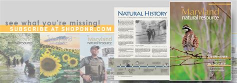 Natural History: Centuries of Maryland conservation laws in one document