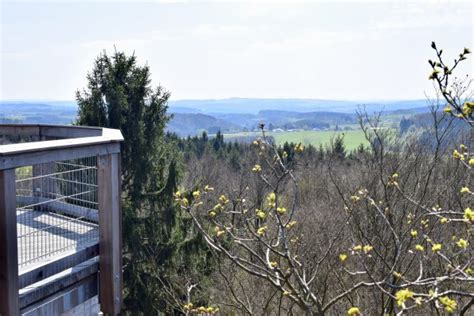 Baumwipfelpfad Im Panarbora Waldbr L Nrw Mr Cook S Travelbook