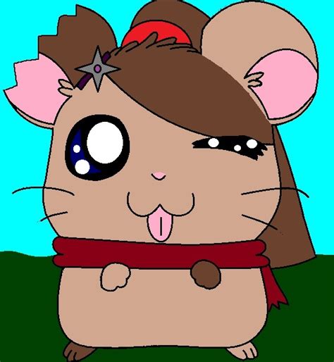 adventures Hamtaro Fan Art 25778234 Fanpop - HAMTARO