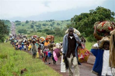 Guerre à lEst de la RDC plus de 700 000 personnes déplacées depuis