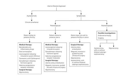 Quais S O Os Sintomas De Um Mioma Uterino E Como O Podemos Tratar