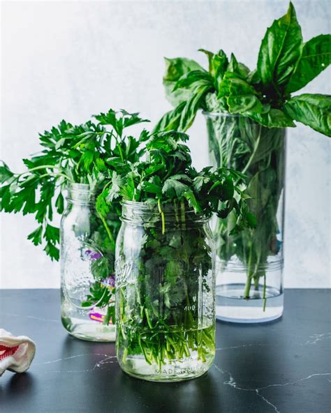 How To Store Fresh Herbs Tendig