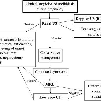 Algorithm For The Management Of Urolithiasis During Pregnancy