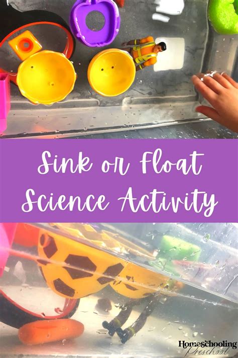 Sink Or Float Science Activity Homeschooling Preschool