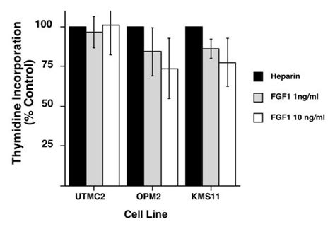 Fgf Signaling Reduces Dna Synthesis In Myeloma Cells Myeloma Cell