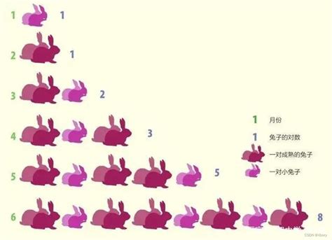 兔子繁殖问题（斐波那契数列）三种方法实现（递归 数组 三个变量） 生兔子问题 递归算法 Csdn博客