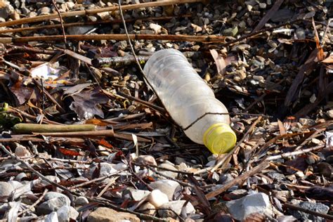 Free Images : sea, coast, plastic, enviroment, strand, litter, waste ...