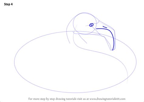 How To Draw A Pink Flamingo Birds Step By Step