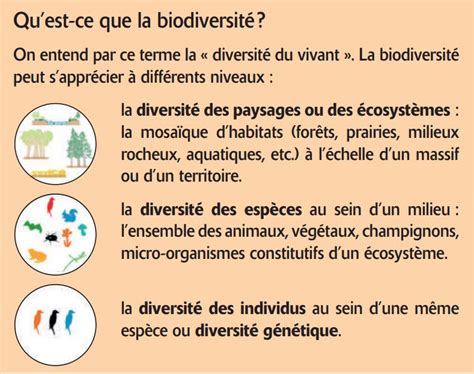 La biodiversité en forêt privée