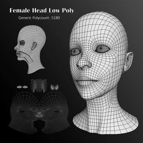 Human Female Head Low Poly Base Mesh 3D Model 10 Ma Obj Fbx