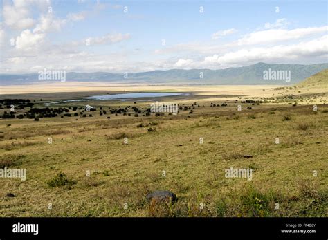 Ngorongoro Crater And Lake Magadi Stock Photo Alamy