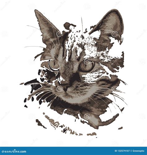 Creative Drawing Cat Stock Vector Illustration Of Drawings 132579107