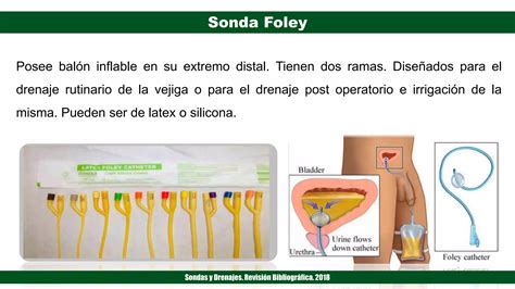 Sondas Y Drenajes Final Ppt