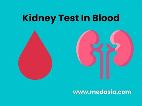 Kidney Test In Blood Kidney Health And More Medasiastore Kidney