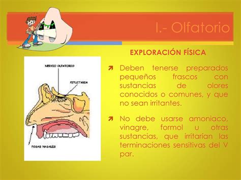 Historia Cl Nica Neurol Gica Alumna Sarahi Gutierrez Segura Ppt