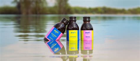 Cold Brewed Coffee – Georgie's Company