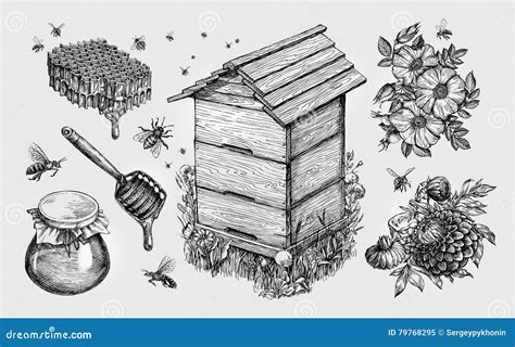 Honey Mead Beekeeping Apiculture Bees Sketch Vector Illustration