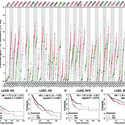 The Level Of Cdcp Mrna In Pan Cancer And Its Prognostic Significance