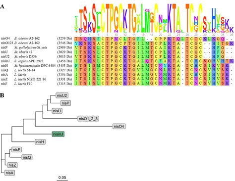 Nisin J A Novel Natural Nisin Variant Is Produced By Staphylococcus Capitis Sourced From The