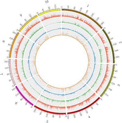 Frontiers High Density Linkage Map Construction And Mapping Of Yield