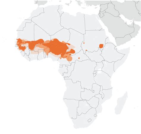 Fulfulde Store Norske Leksikon