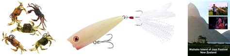 Top 5 Red Drum Lures: A Guide to Catching More Fish!
