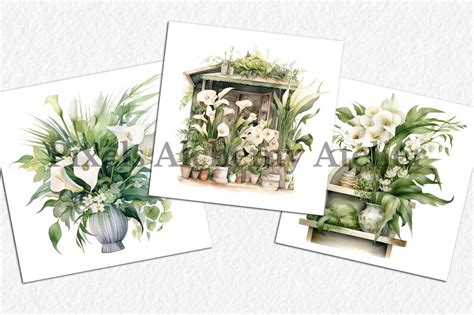 25 Modern Monochrome Watercolor Clipart PNG Calla Lilies Orchids