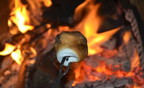 Toasting Marshmallows A Popular Part Of Camping