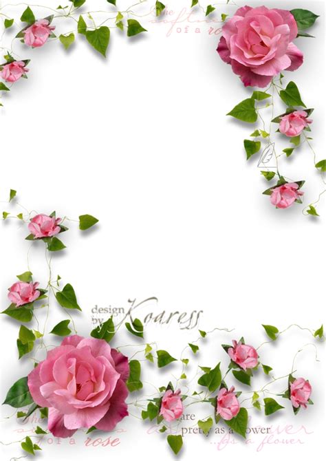 Flower Borders And Frames For Word