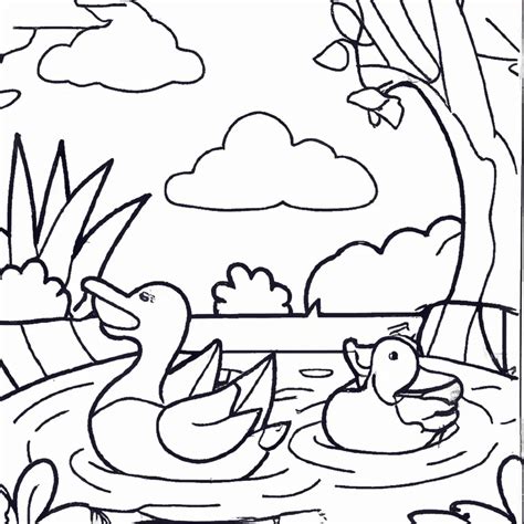 Desenhos De Patos Nadando Para Imprimir E Colorir