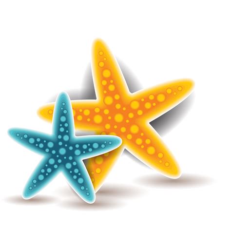 Starfish Euclidean vector - Vector colored starfish png download - 2144*2144 - Free Transparent ...