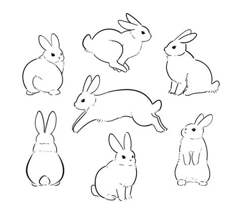 Bunny Outline Stock Vectors And Vector Art Shutterstock