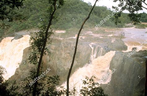 Kuranda Tropical Rainforest Spectacular Natural Wonder Editorial Stock ...