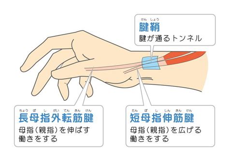 練馬区で腱鞘炎・バネ指の治療なら江古田の整骨院 手塚接骨院（練馬区）