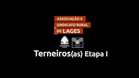 Apresentação dos Lotes Feira do Terneiro a Lages Etapa 1 YouTube