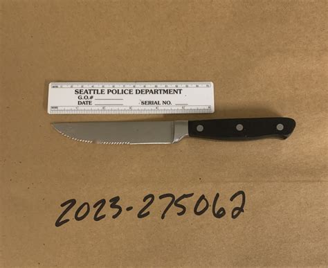 Man Arrested After Stabbing in Fremont - SPD Blotter