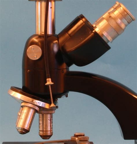 Compound Achromatic Microscope Biozet Stand Stichting Voor