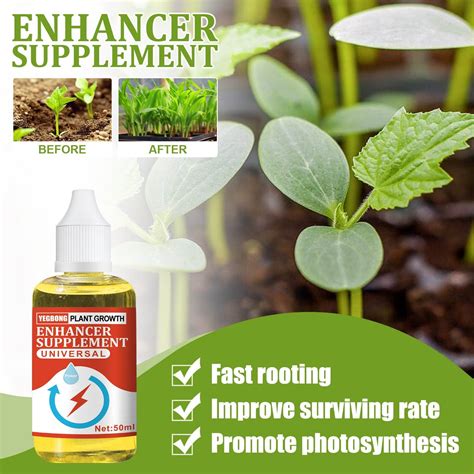 Bilqis Plant Growth Enhancer Supplement Rooting Hormone For Cutting