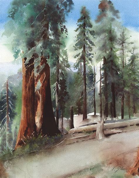 Sequoia Trees Original Watercolor Painting California Etsy