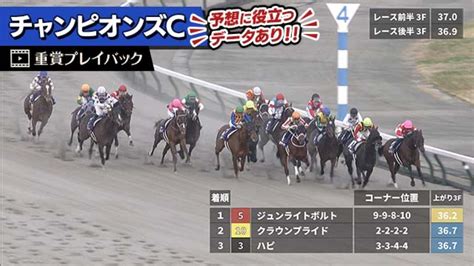 【チャンピオンズc 2023】過去5年のレース映像・傾向 競馬動画 Netkeiba