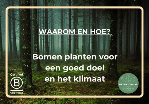 Bomen Planten Voor Een Goed Doel En Het Klimaat Waarom En Hoe