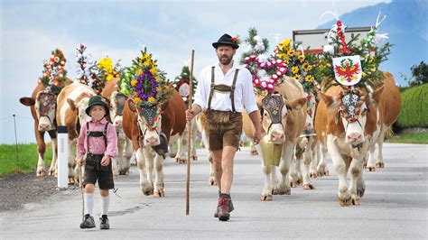 Almabtriebe In Tirol Sterreich