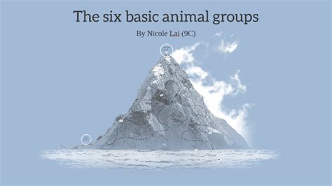 basic animal groups  nicole lai  prezi