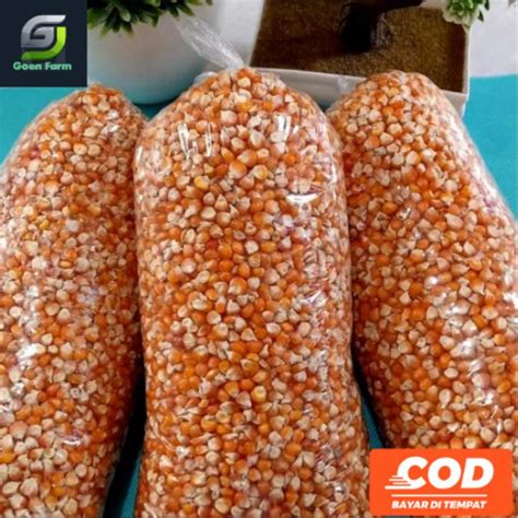 Jual Jagung Pipil Kering Kg Shopee Indonesia