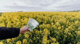 Nuevas Ideas De Reciclaje Con Revistas Usadas Conciencia Eco