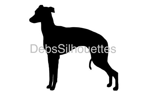 Italian Greyhound Silhouette Svg  Png Pdf Etsy